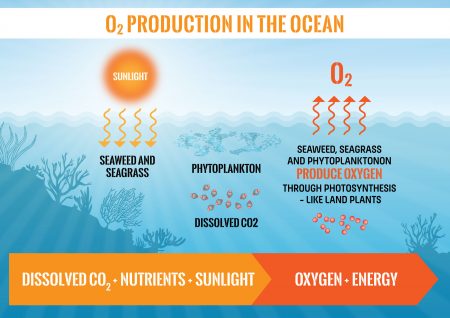 oxigenproduction-v4